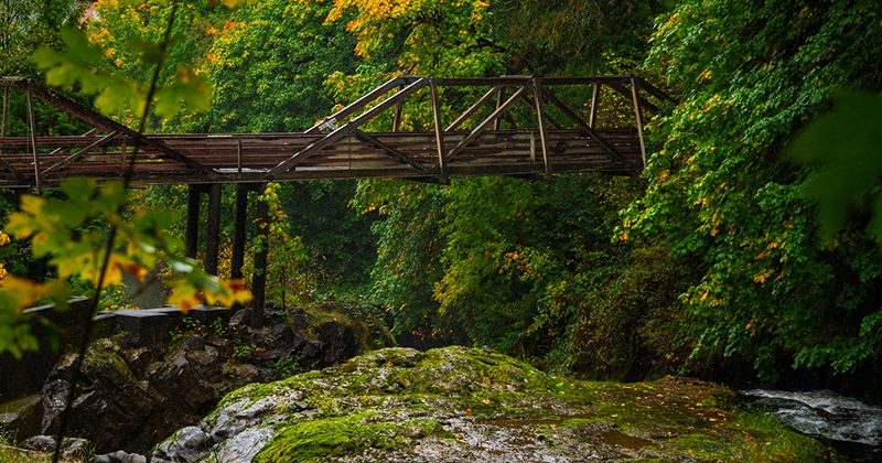 Olympia Fall Guide: Festivals, Events & Activities