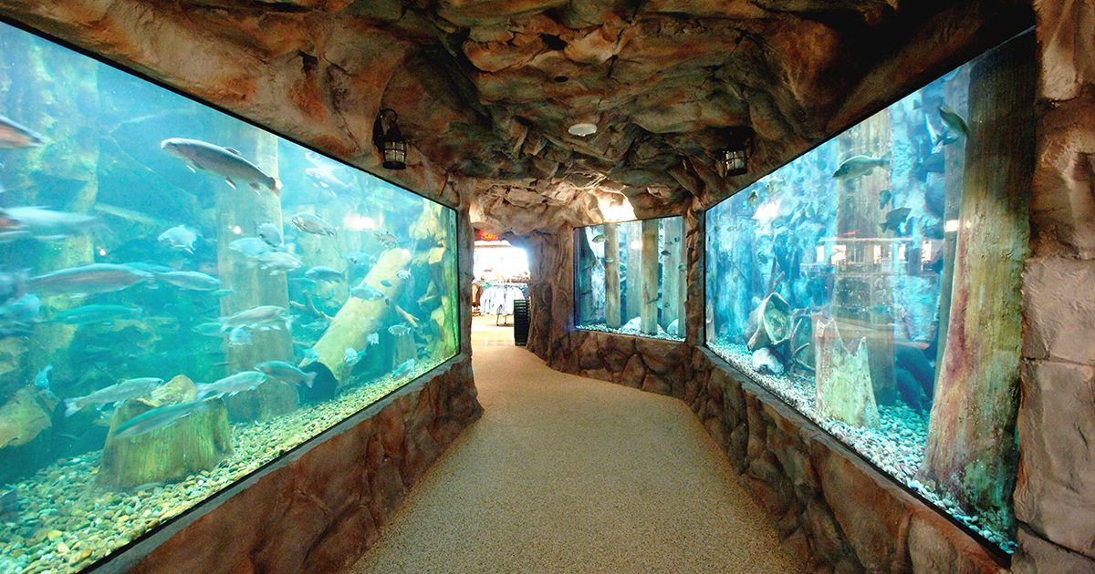 Cabela's Experience Olympia