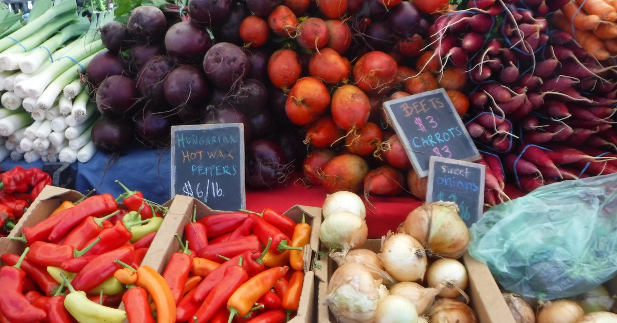 Yelm Farmers Market Experience Olympia